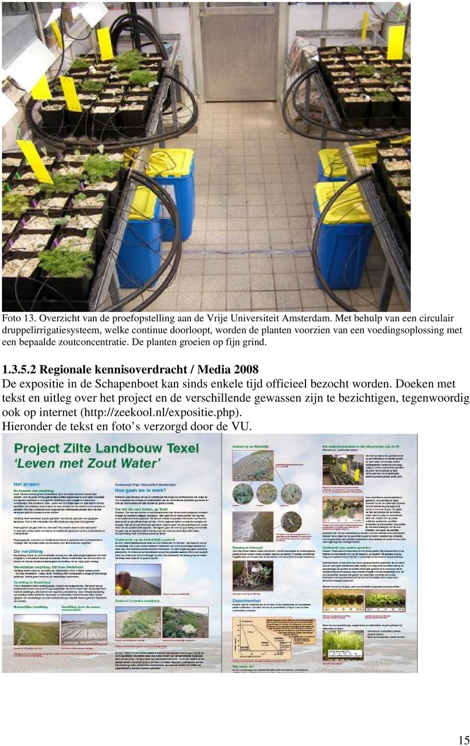 zoutconcentratie. De planten groeien op fijn grind. 1.3.5.