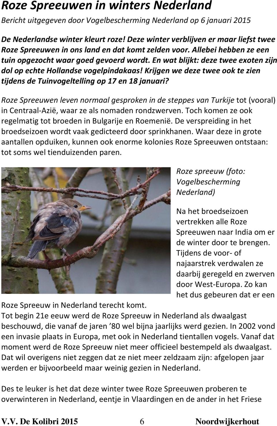En wat blijkt: deze twee exoten zijn dol op echte Hollandse vogelpindakaas! Krijgen we deze twee ook te zien tijdens de Tuinvogeltelling op 17 en 18 januari?