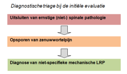 Multi versus inter MULTI 1+1=2 1+1+1=3 1+1+1+1=4 INTER 1x1=1 (1²) 1x1x1=1 (1³) 1x1x1x1=1 Intramuros Extramuros Hoe meer deelnemers, hoe meer adviezen Steeds één visie Arts Therapeut