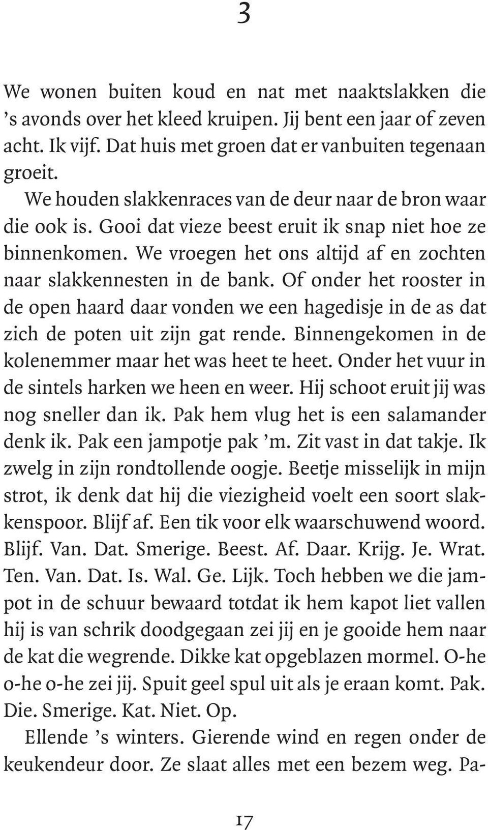 Of onder het rooster in de open haard daar vonden we een hagedisje in de as dat zich de poten uit zijn gat rende. Binnengekomen in de kolenemmer maar het was heet te heet.