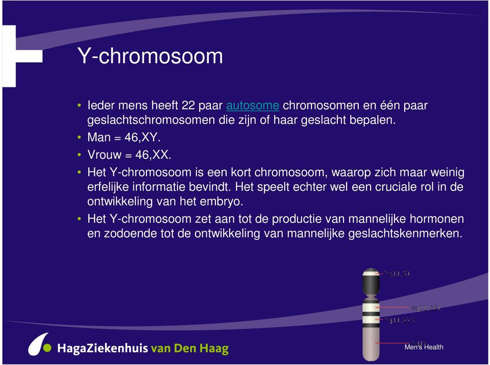 Het Y-chromosoom is een kort chromosoom, waarop zich maar weinig erfelijke informatie bevindt.