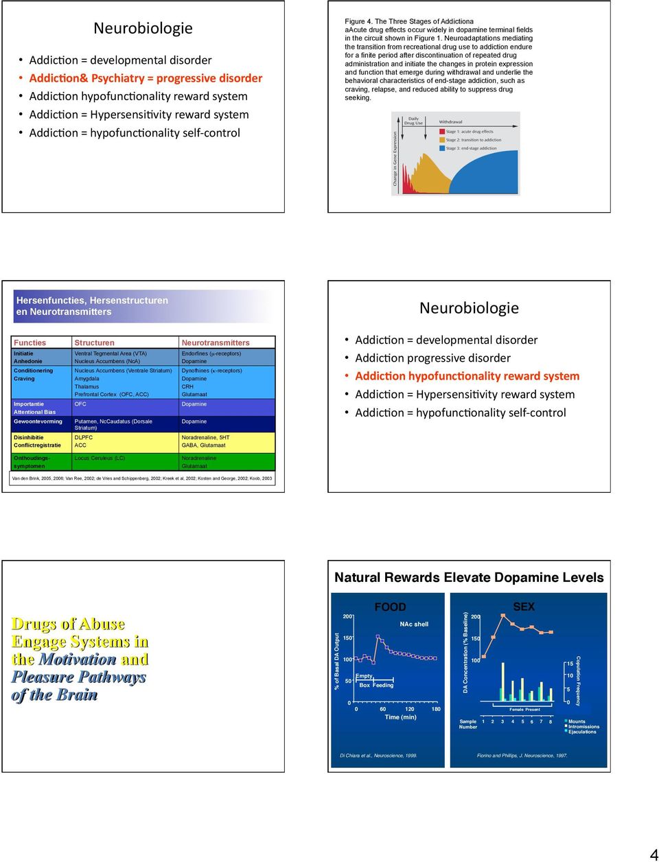 Neuroadaptations mediating the transition from recreational drug use to addiction endure for a finite period after discontinuation of repeated drug administration and initiate the changes in protein