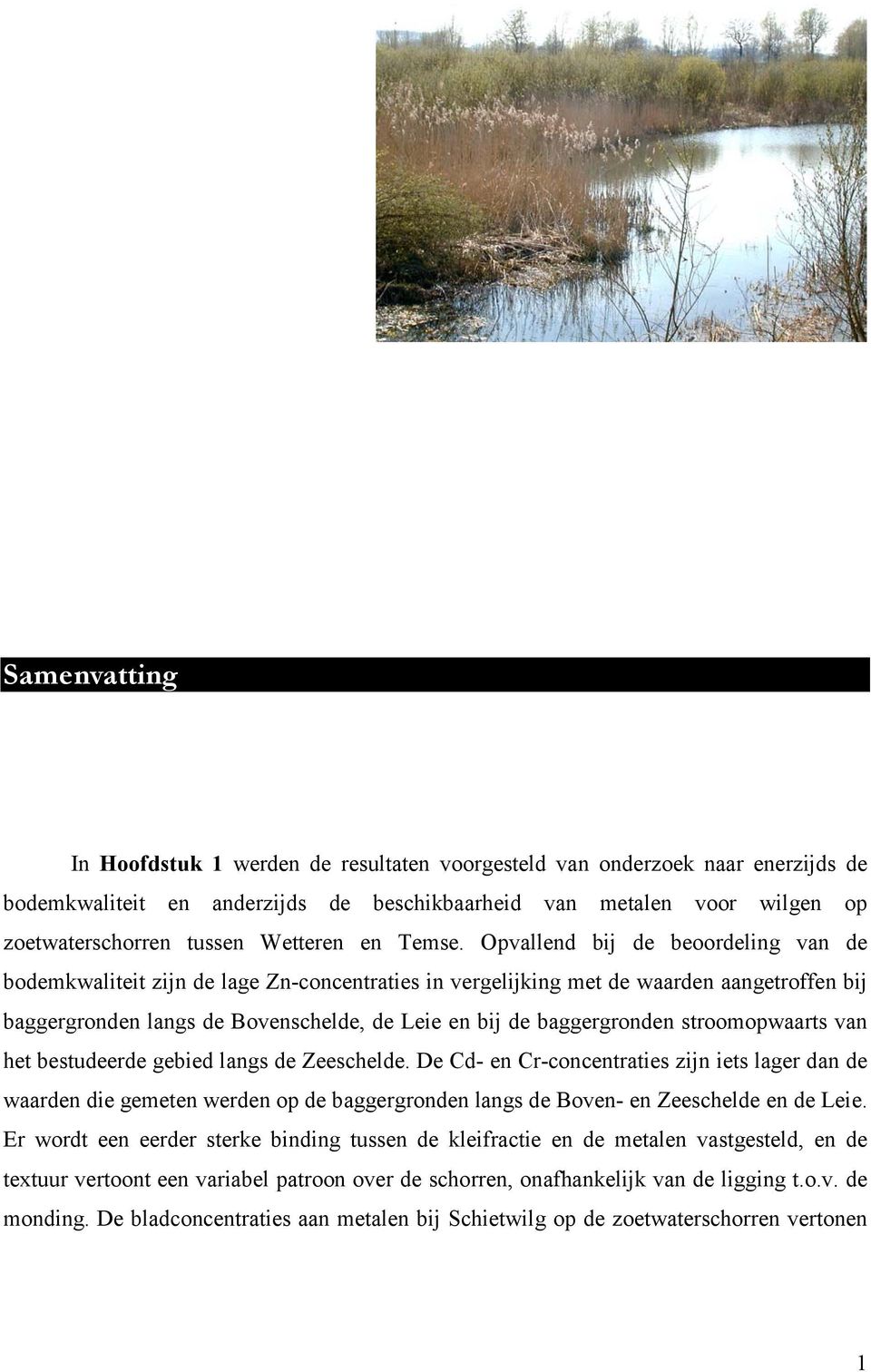 Opvallend bij de beoordeling van de bodemkwaliteit zijn de lage Zn-concentraties in vergelijking met de waarden aangetroffen bij baggergronden langs de Bovenschelde, de Leie en bij de baggergronden