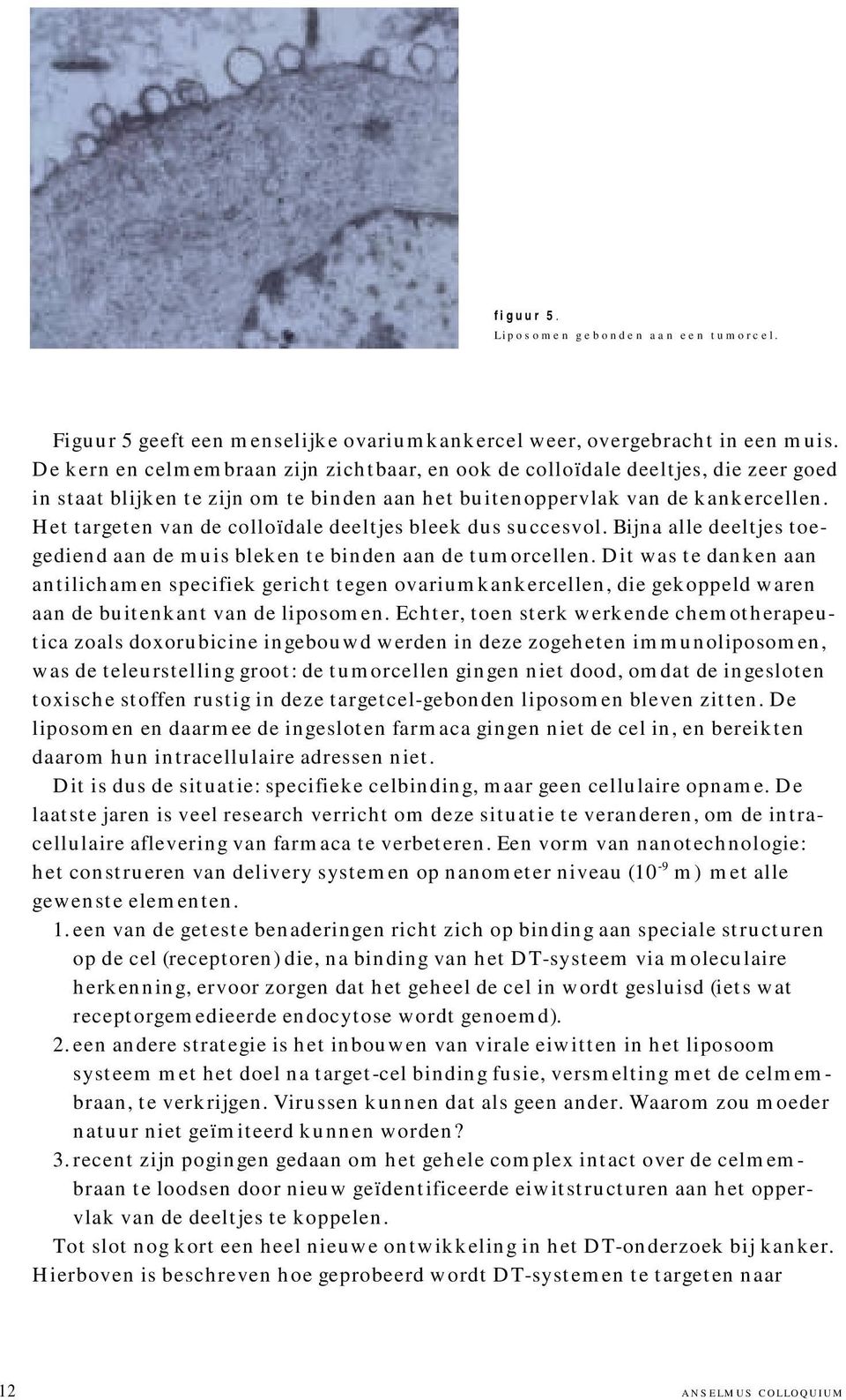 Het targeten van de colloïdale deeltjes bleek dus succesvol. Bijna alle deeltjes toegediend aan de muis bleken te binden aan de tumorcellen.