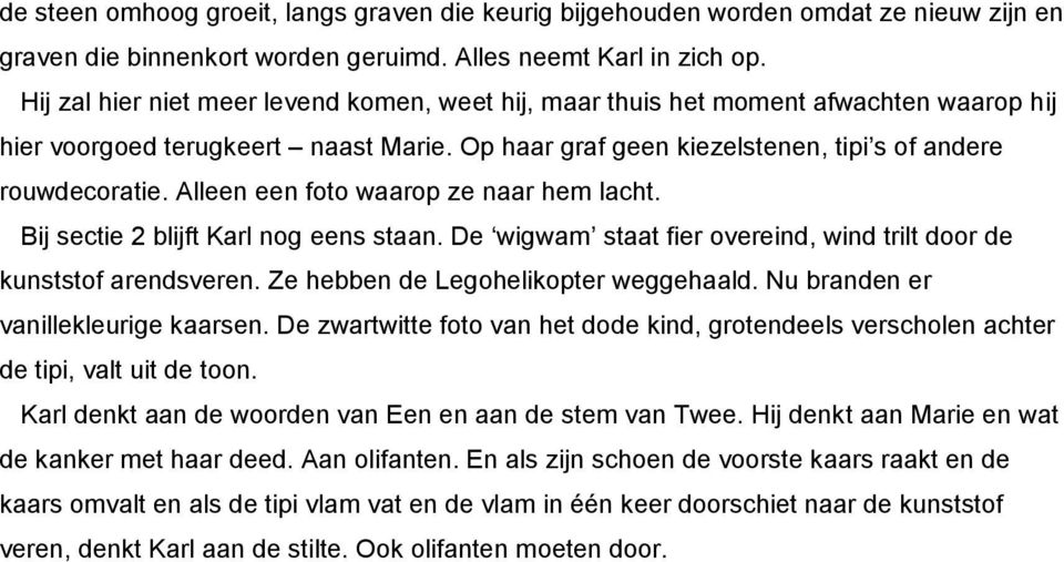 Alleen een foto waarop ze naar hem lacht. Bij sectie 2 blijft Karl nog eens staan. De wigwam staat fier overeind, wind trilt door de kunststof arendsveren. Ze hebben de Legohelikopter weggehaald.