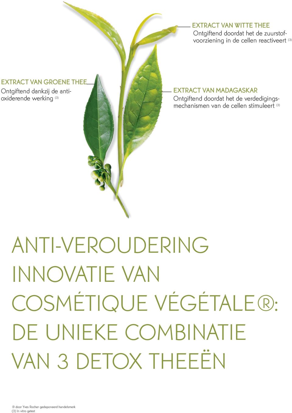 het de verdedigingsmechanismen van de cellen stimuleert (3) ANTI-VEROUDERING INNOVATIE VAN COSMÉTIQUE