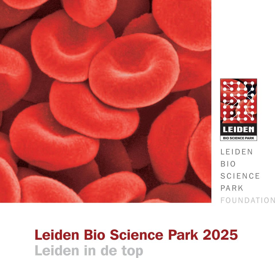Park 2025 Leiden in