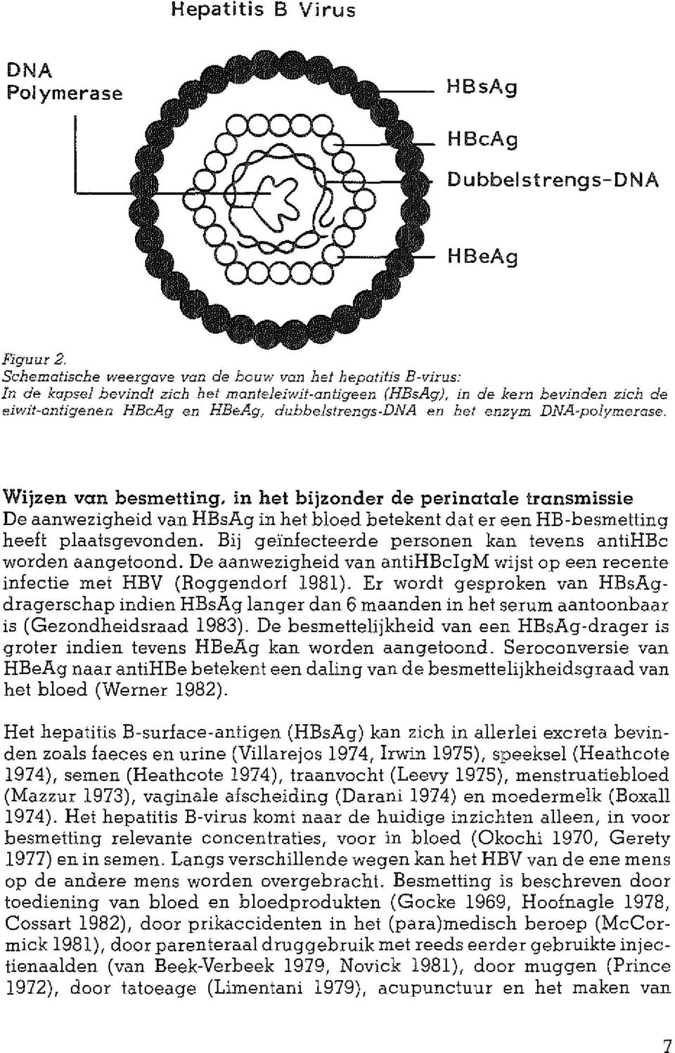 Wijzen van besmetting, in het bijzonder de perinatale transmissie De aanwezigheid van HBsAg in het bloed betekent dat er een RB-besmetting heeft plaatsgevonden.