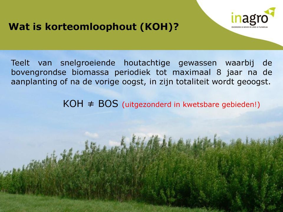 bovengrondse biomassa periodiek tot maximaal 8 jaar na de