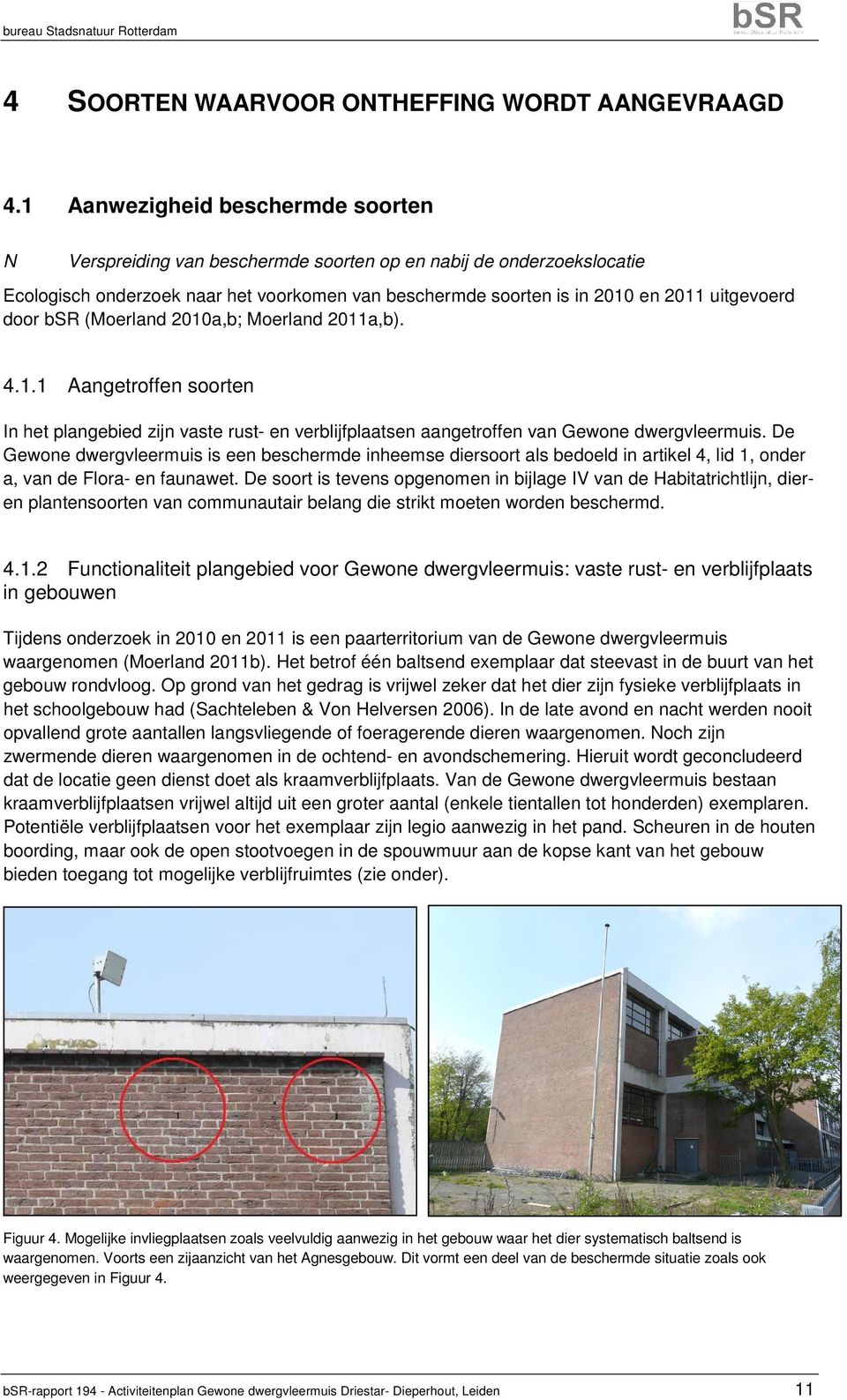 door bsr (Moerland 2010a,b; Moerland 2011a,b). 4.1.1 Aangetroffen soorten In het plangebied zijn vaste rust- en verblijfplaatsen aangetroffen van Gewone dwergvleermuis.