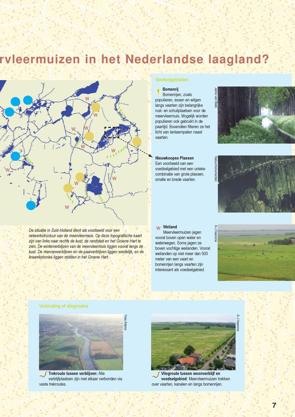 De mannenverblijven en de paarverblijven liggen westelijk, en de kraamkolonies liggen midden in het Groene Hart.