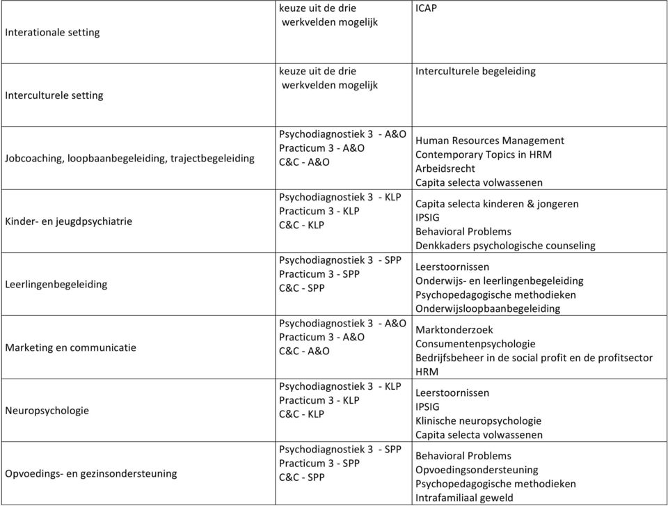 gezinsondersteuning Contemporary Topics in HRM Arbeidsrecht Capita selecta kinderen & jongeren Onderwijs- en leerlingenbegeleiding Onderwijsloopbaanbegeleiding