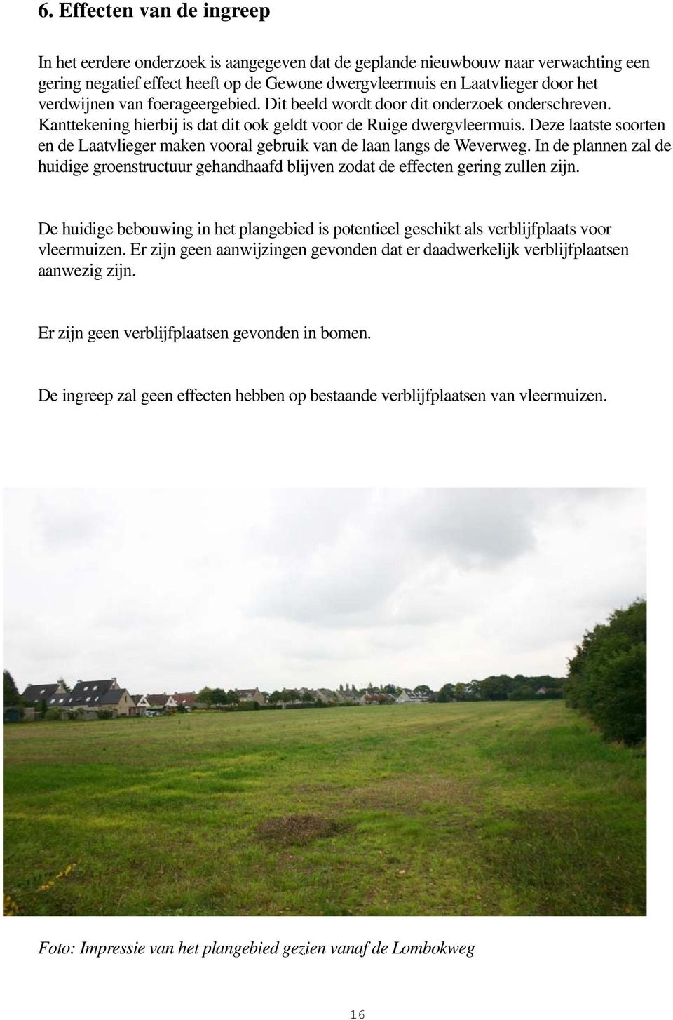 Deze laatste soorten en de Laatvlieger maken vooral gebruik van de laan langs de Weverweg. In de plannen zal de huidige groenstructuur gehandhaafd blijven zodat de effecten gering zullen zijn.