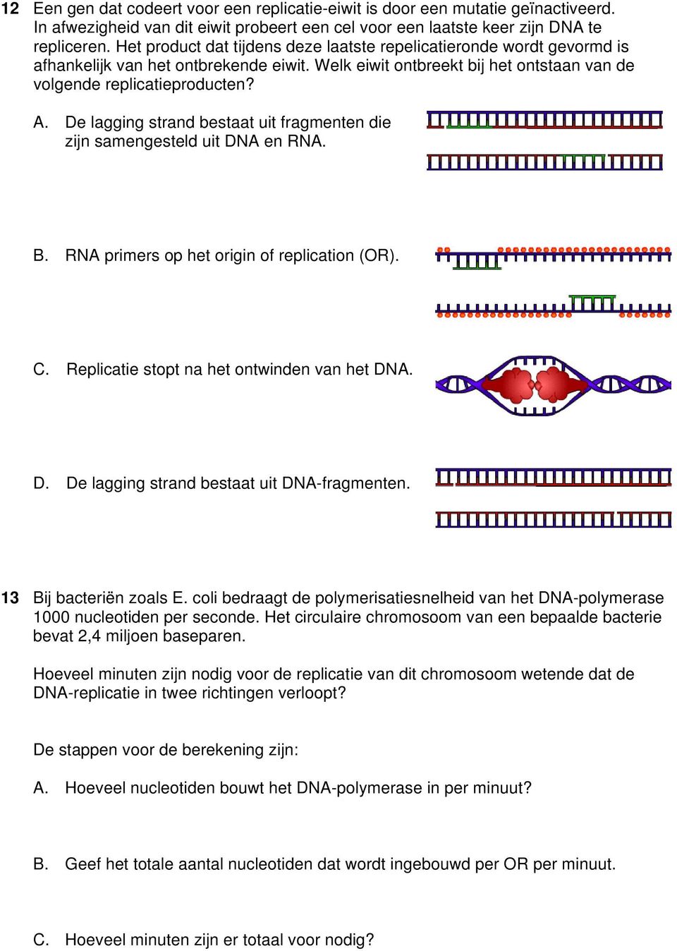 De lagging strand bestaat uit fragmenten die zijn samengesteld uit DNA en RNA. B. RNA primers op het origin of replication (OR). C. Replicatie stopt na het ontwinden van het DNA. D. De lagging strand bestaat uit DNA-fragmenten.