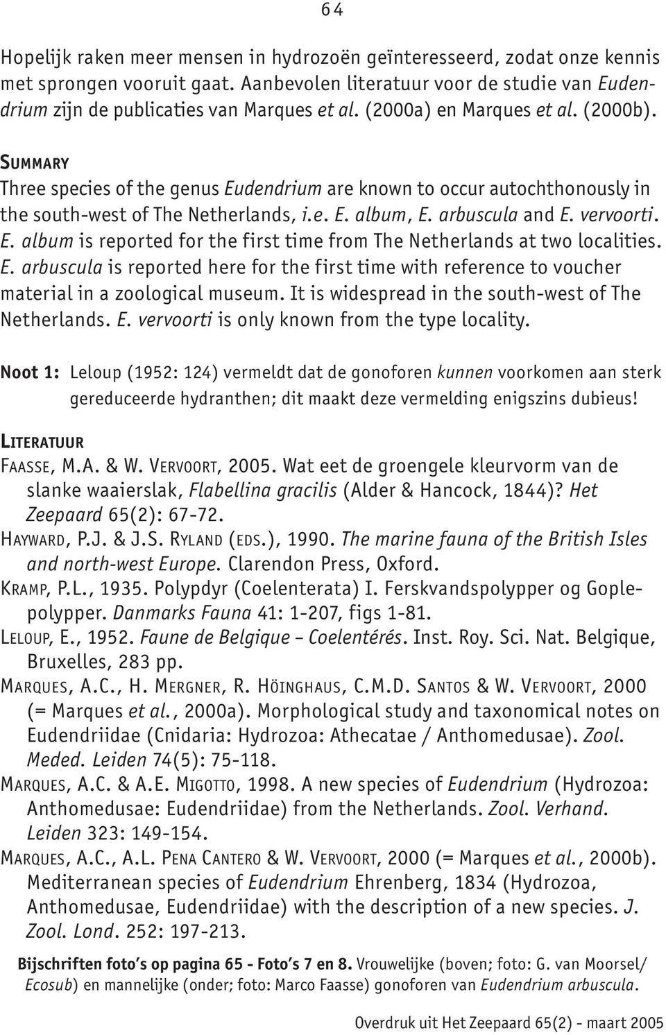 E. album is reported for the first time from The Netherlands at two localities. E. arbuscula is reported here for the first time with reference to voucher material in a zoological museum.