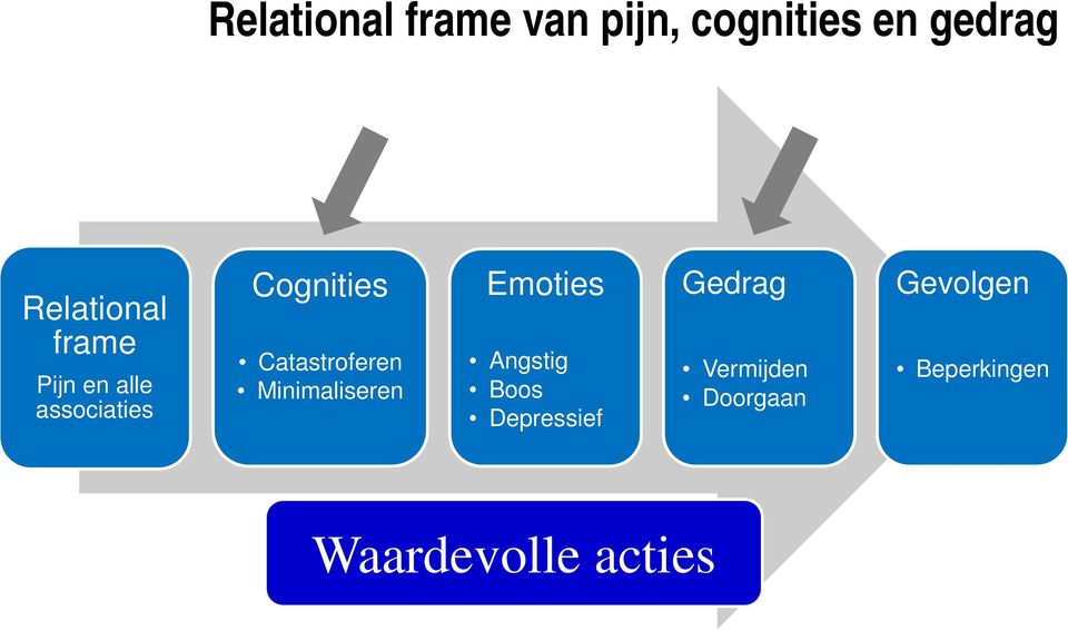 Emoties Gedrag Gevolgen Catastroferen Minimaliseren