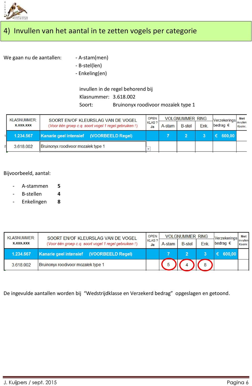 002 Soort: Bruinonyx roodivoor mozaïek type 1 Bijvoorbeeld, aantal: - A-stammen 5 - B-stellen 4 -