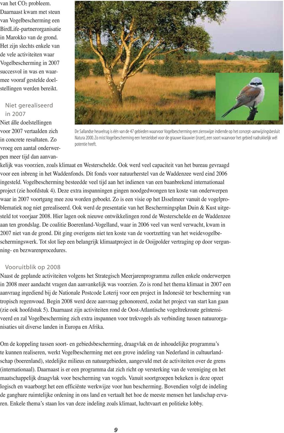 De Sallandse heuvelrug is één van de 47 gebieden waarvoor Vogelbescherming een zienswijze indiende op het concept-aanwijzingsbesluit Natura 2000.