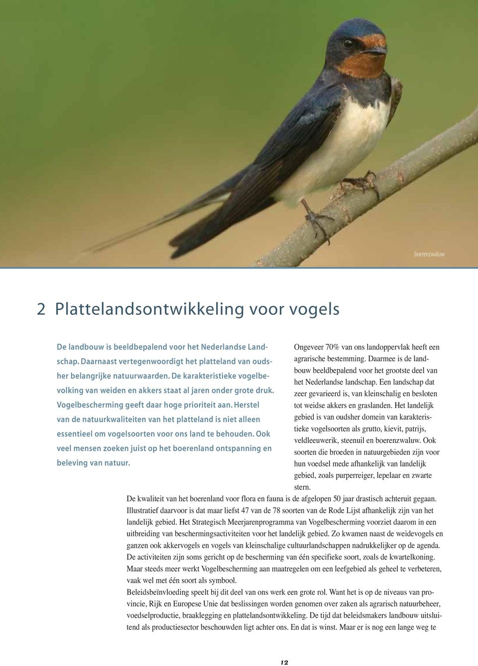 De karakteristieke vogelbevolking van weiden en akkers staat al jaren onder grote druk. zeer gevarieerd is, van kleinschalig en besloten het Nederlandse landschap.