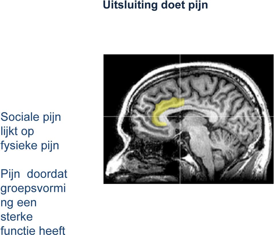 fysieke pijn Pijn doordat