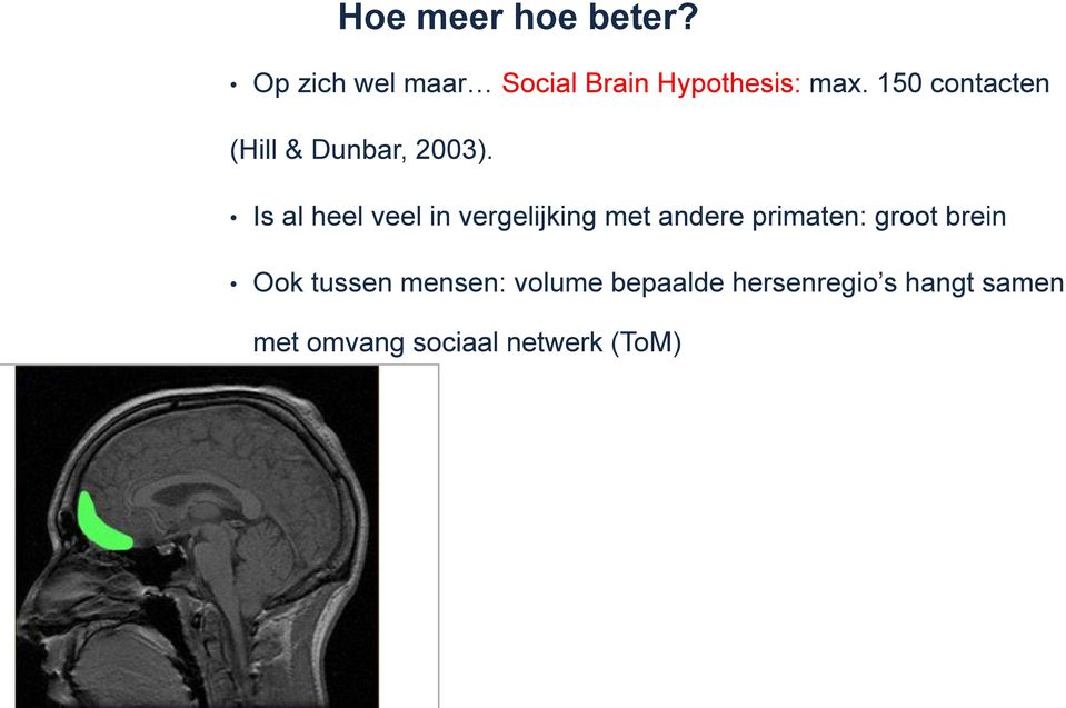 Is al heel veel in vergelijking met andere primaten: groot brein