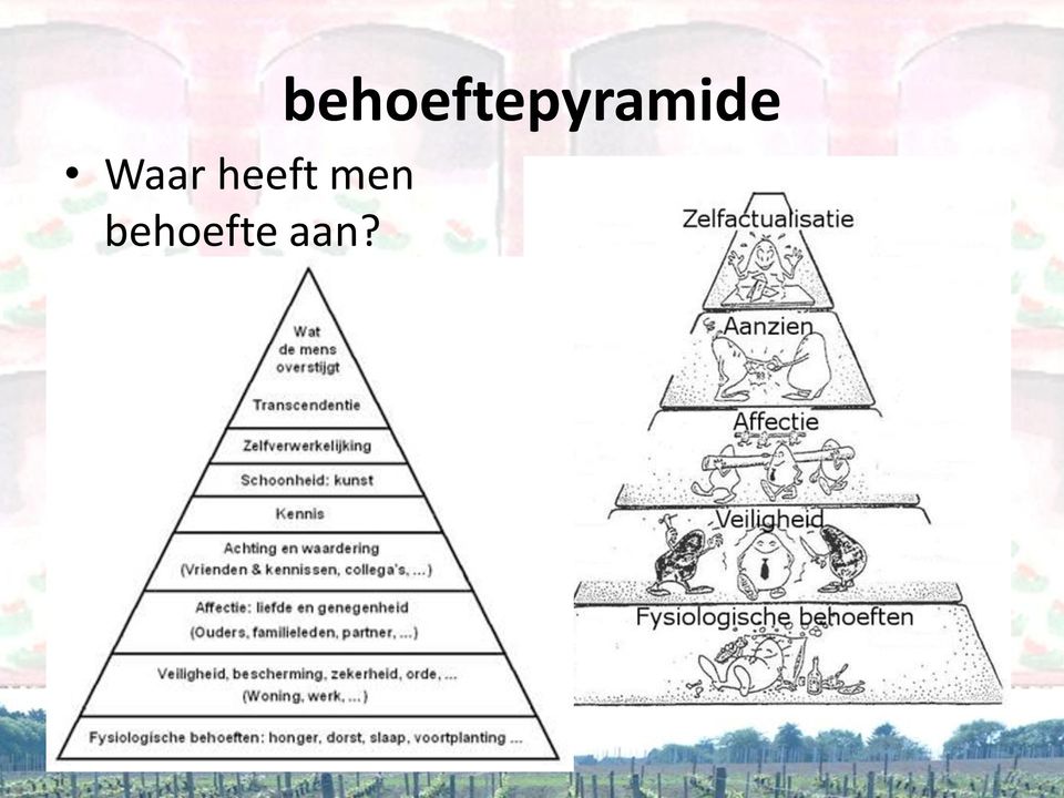 behoefte