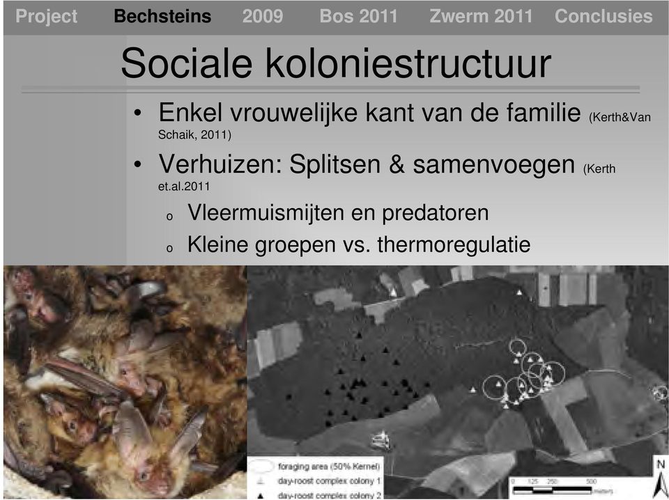 Schaik, 2011) Verhuizen: Splitsen & samenvoegen (Kerth et.al.