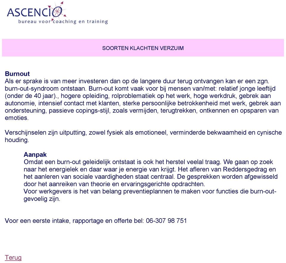 , hogere opleiding, rolproblematiek op het werk, hoge werkdruk, gebrek aan autonomie, intensief contact met klanten, sterke persoonlijke betrokkenheid met werk, gebrek aan ondersteuning, passieve