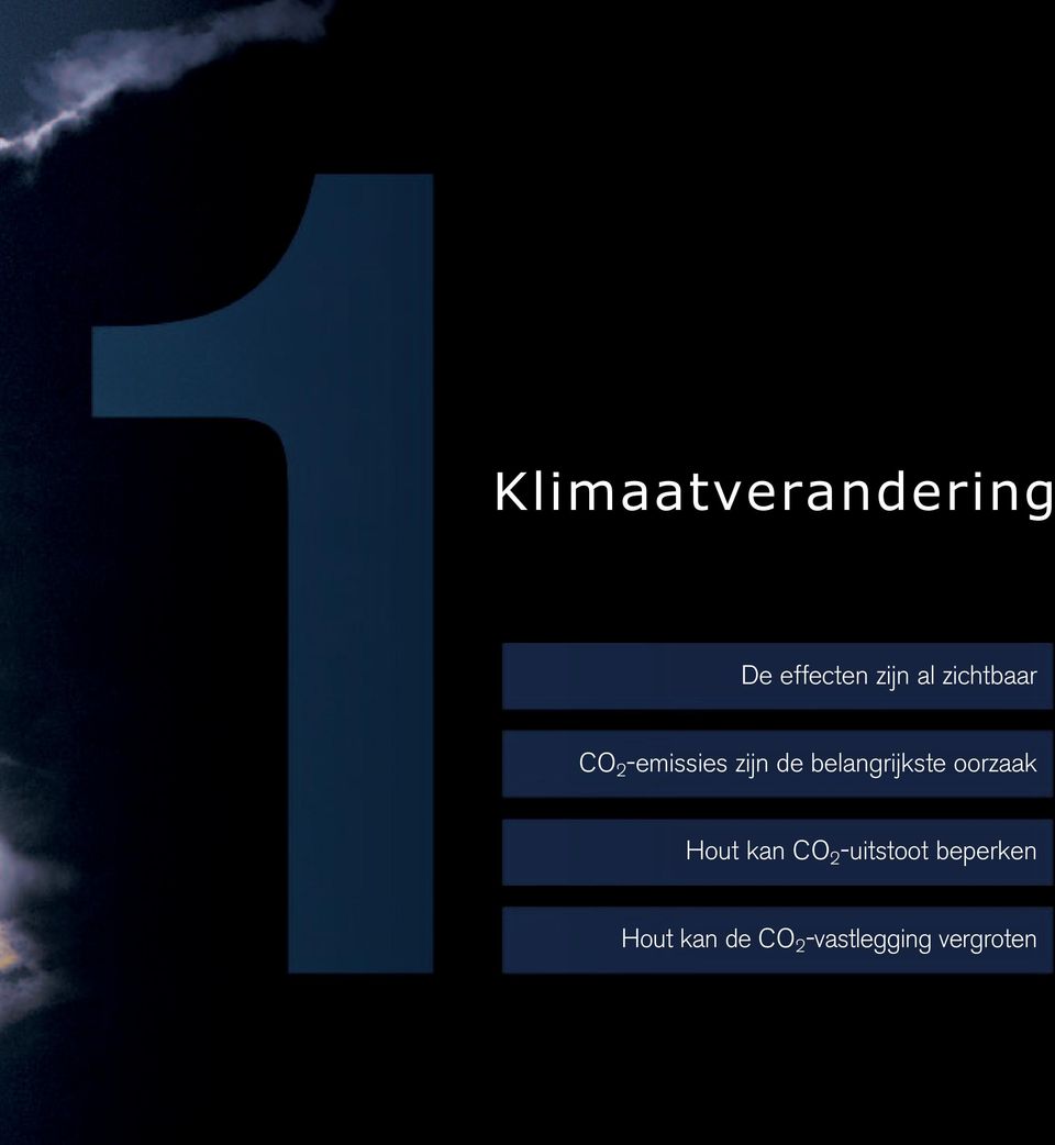 belangrijkste oorzaak Hout kan CO 2