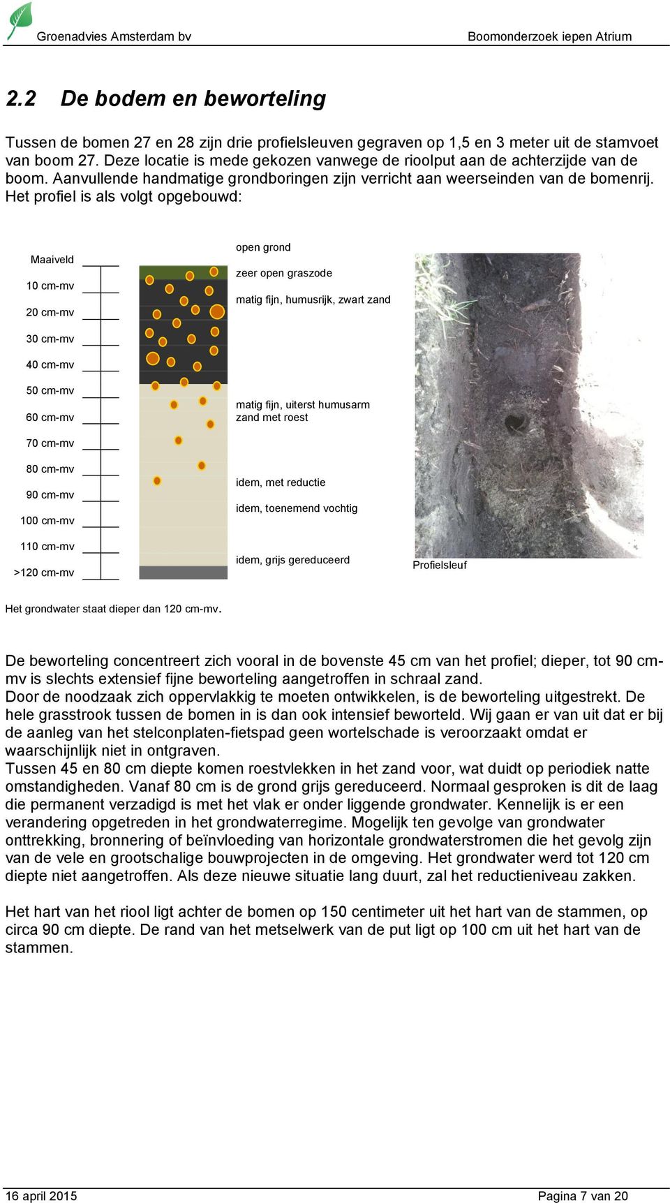 Het profiel is als volgt opgebouwd: Maaiveld 10 cm-mv 20 cm-mv open grond zeer open graszode matig fijn, humusrijk, zwart zand 30 cm-mv 40 cm-mv 50 cm-mv 60 cm-mv matig fijn, uiterst humusarm zand