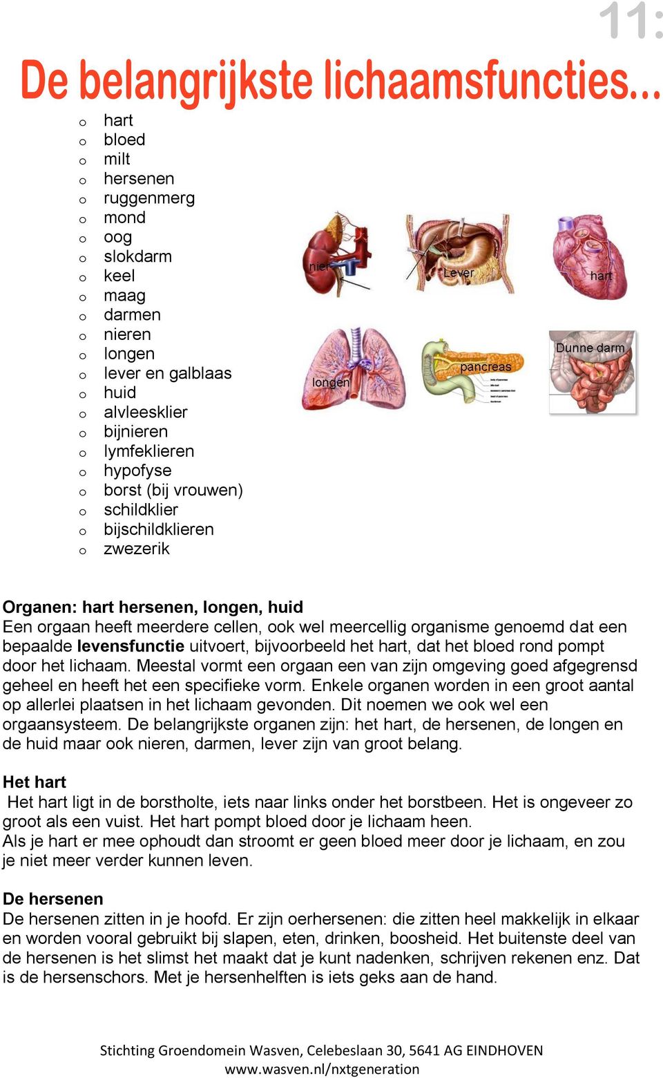 het lichaam. Meestal vrmt een rgaan een van zijn mgeving ged afgegrensd geheel en heeft het een specifieke vrm. Enkele rganen wrden in een grt aantal p allerlei plaatsen in het lichaam gevnden.