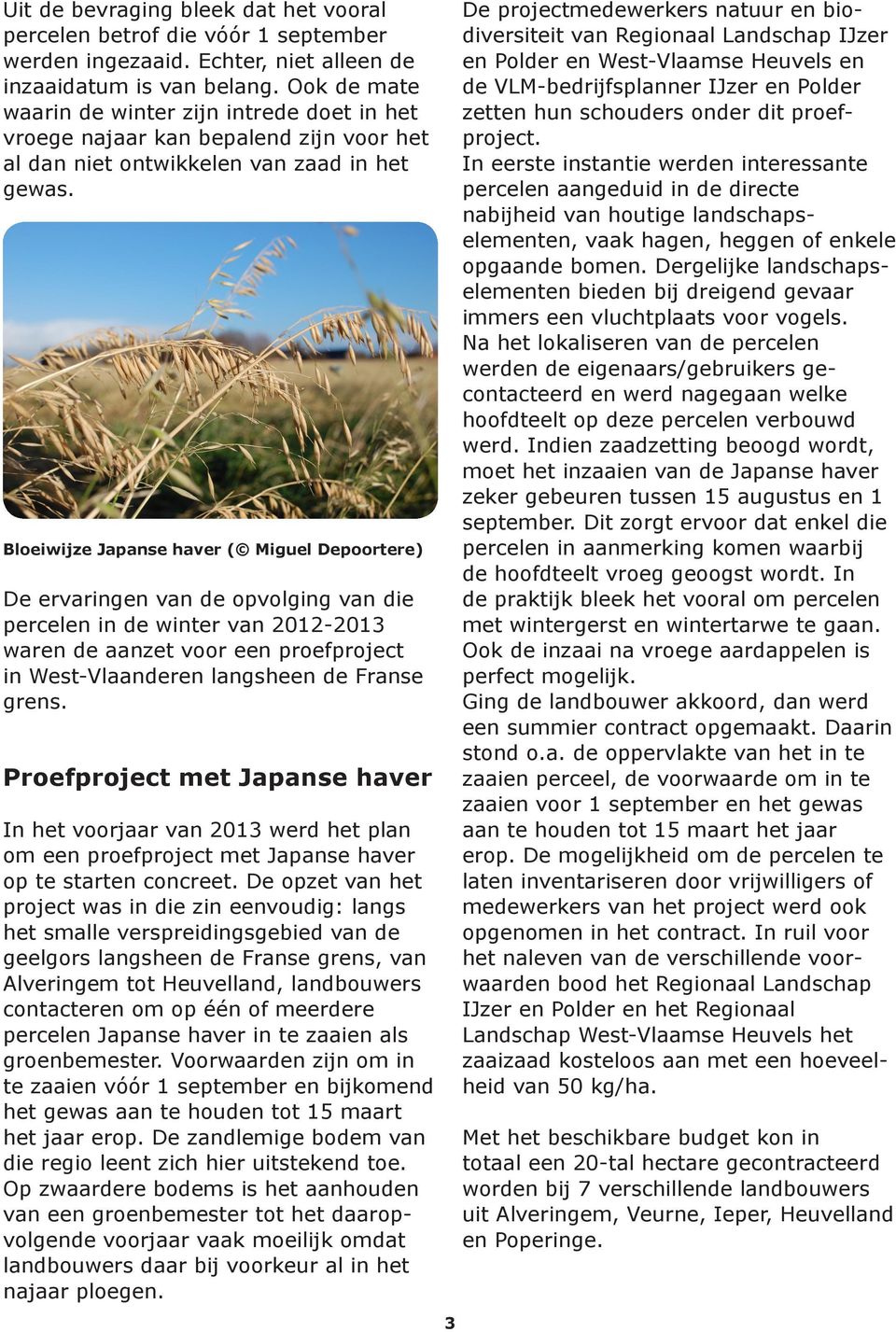 Bloeiwijze Japanse haver ( Miguel Depoortere) De ervaringen van de opvolging van die percelen in de winter van 2012-2013 waren de aanzet voor een proefproject in West-Vlaanderen langsheen de Franse