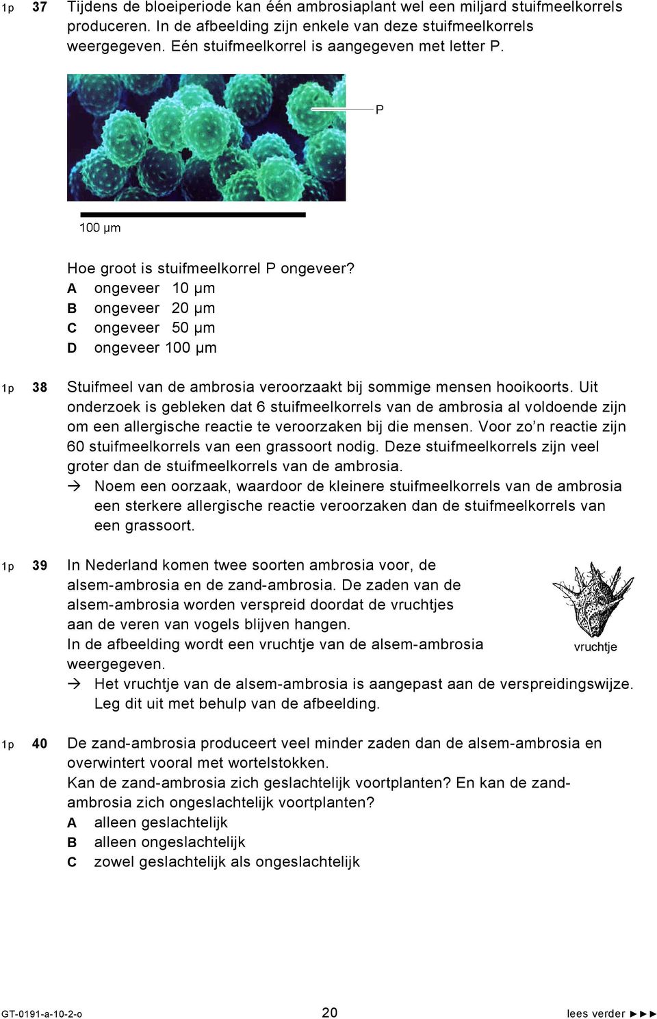 A ongeveer 10 μm B ongeveer 20 μm C ongeveer 50 μm D ongeveer 100 μm 1p 38 Stuifmeel van de ambrosia veroorzaakt bij sommige mensen hooikoorts.