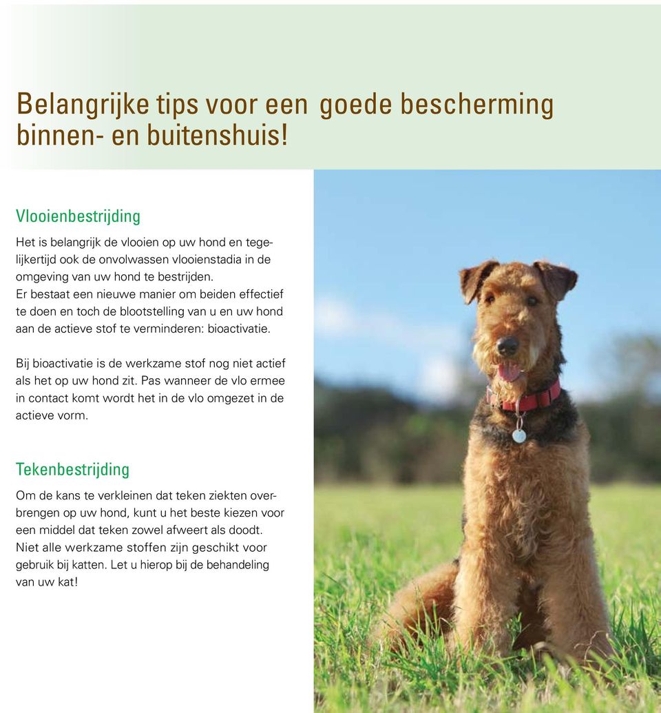 Er bestaat een nieuwe manier om beiden effectief te doen en toch de blootstelling van u en uw hond aan de actieve stof te verminderen: bioactivatie.