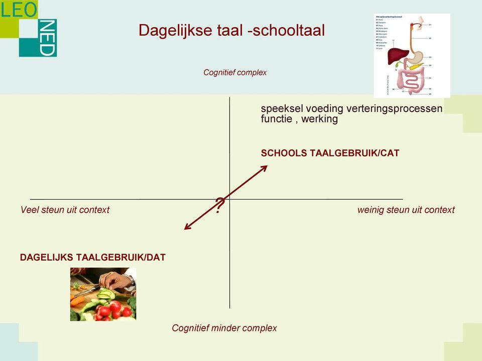 TAALGEBRUIK/CAT Veel steun uit context?