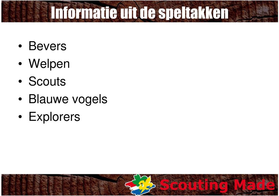 Welpen Scouts