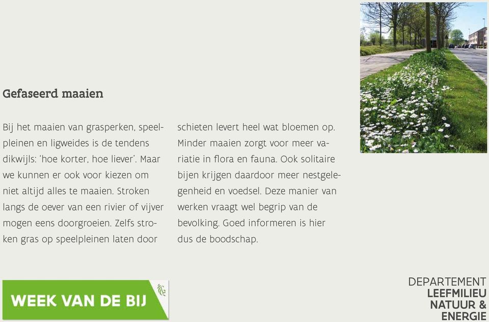 Zelfs stroken gras op speelpleinen laten door schieten levert heel wat bloemen op. Minder maaien zorgt voor meer variatie in flora en fauna.