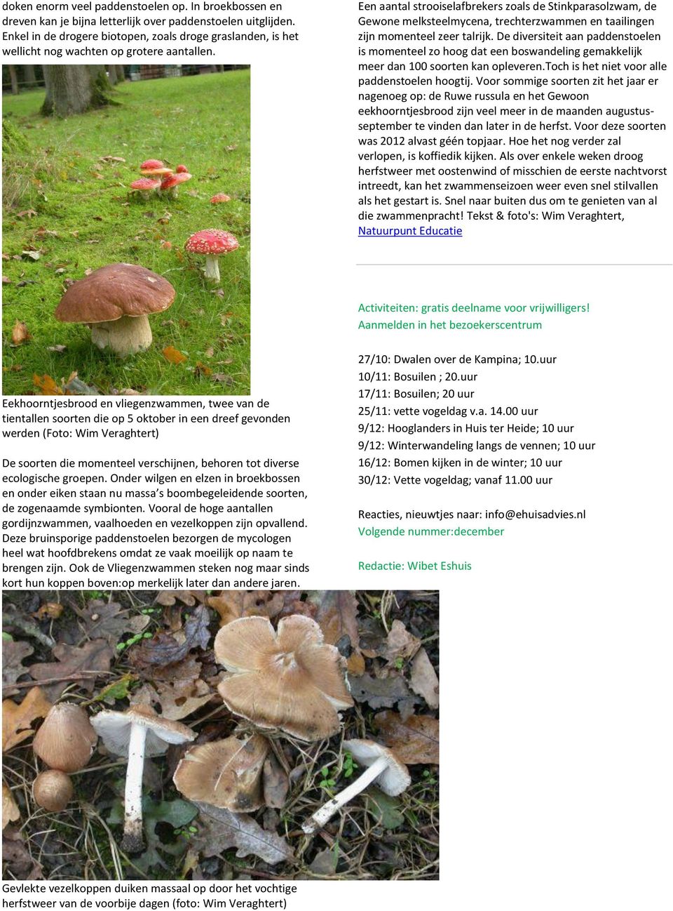 Een aantal strooiselafbrekers zoals de Stinkparasolzwam, de Gewone melksteelmycena, trechterzwammen en taailingen zijn momenteel zeer talrijk.