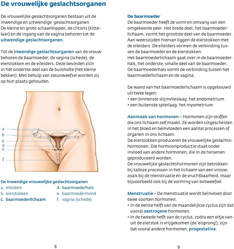 Tot de inwendige geslachtsorganen van de vrouw behoren de baarmoeder, de vagina (schede), de eierstokken en de eileiders. Deze bevinden zich in het onderste deel van de buikholte (het kleine bekken).