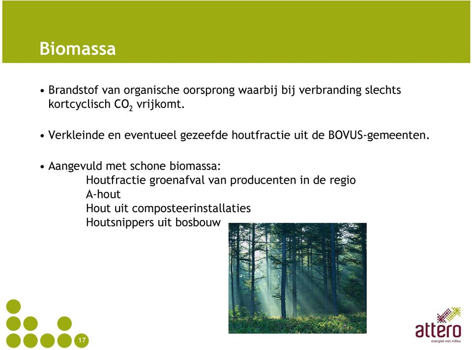 Verkleinde en eventueel gezeefde houtfractie uit de BOVUS-gemeenten.