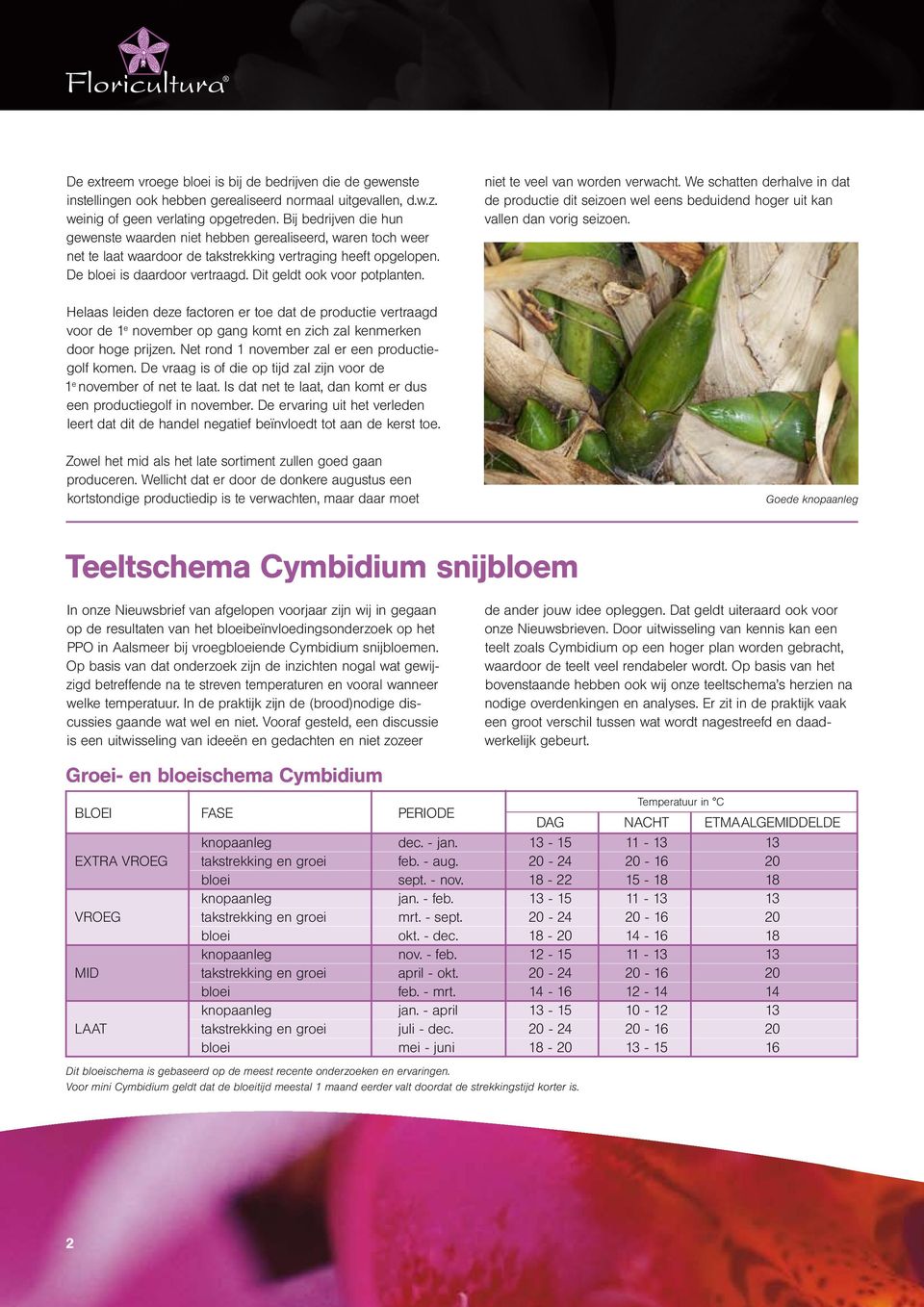 Dit geldt ook voor potplanten. niet te veel van worden verwacht. We schatten derhalve in dat de productie dit seizoen wel eens beduidend hoger uit kan vallen dan vorig seizoen.