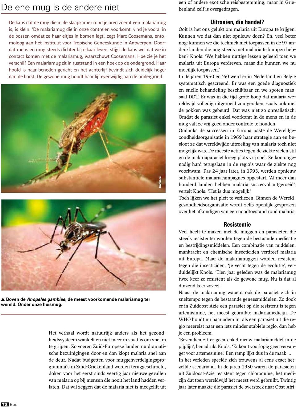 Doordat mens en mug steeds dichter bij elkaar leven, stijgt de kans wel dat we in contact komen met de malariamug, waarschuwt Coosemans. Hoe zie je het verschil?