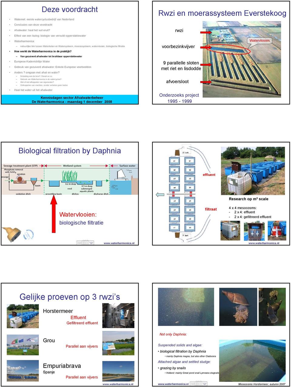 Onderzoeks project 1995-1999 Watervlooien Biological filtration by Daphnia effluent Watervlooien: biologische filtratie filtraat Research op m 3 scale 4 x 4 mesocosms: - x 4: effluent - x 4: