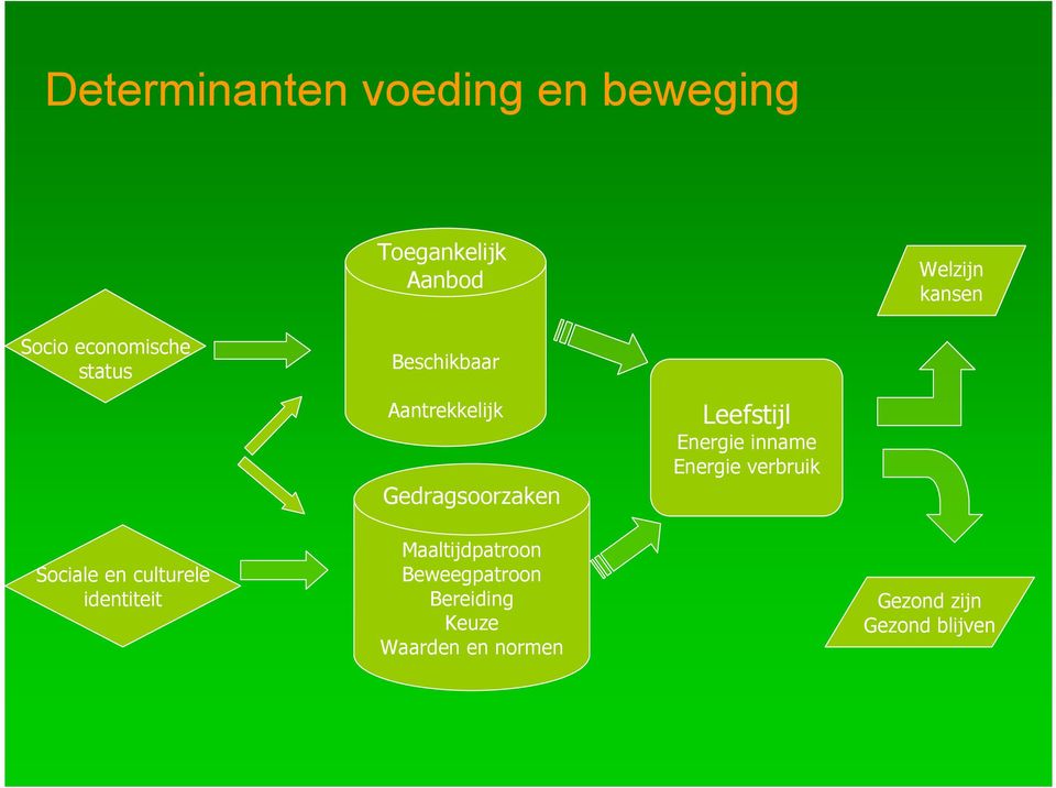 Energie inname Energie verbruik Sociale en culturele identiteit