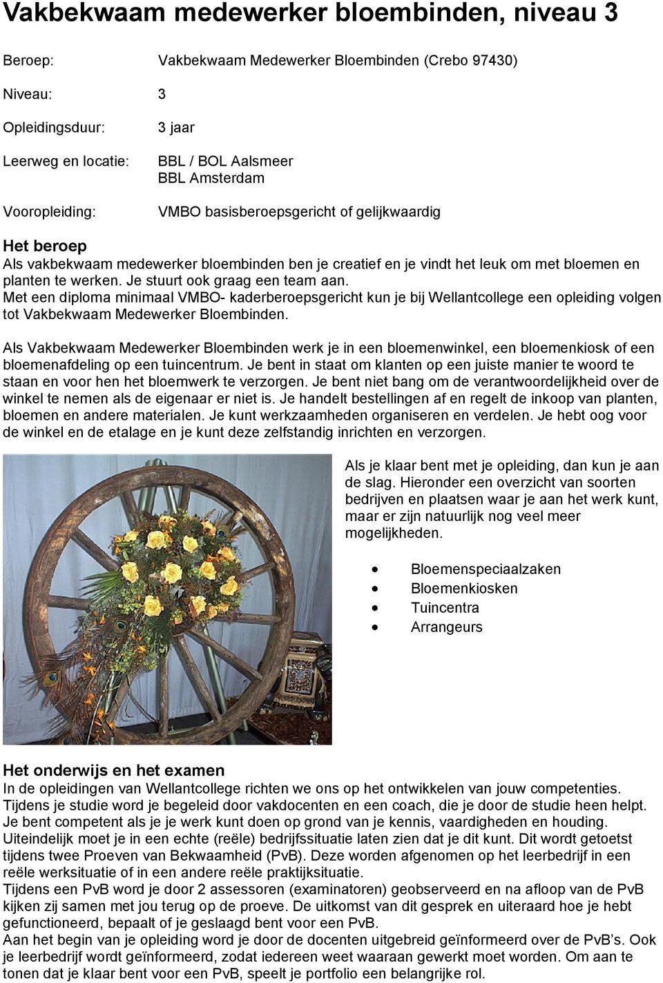 Je stuurt ook graag een team aan. Met een diploma minimaal VMBO- kaderberoepsgericht kun je bij Wellantcollege een opleiding volgen tot Vakbekwaam Medewerker Bloembinden.