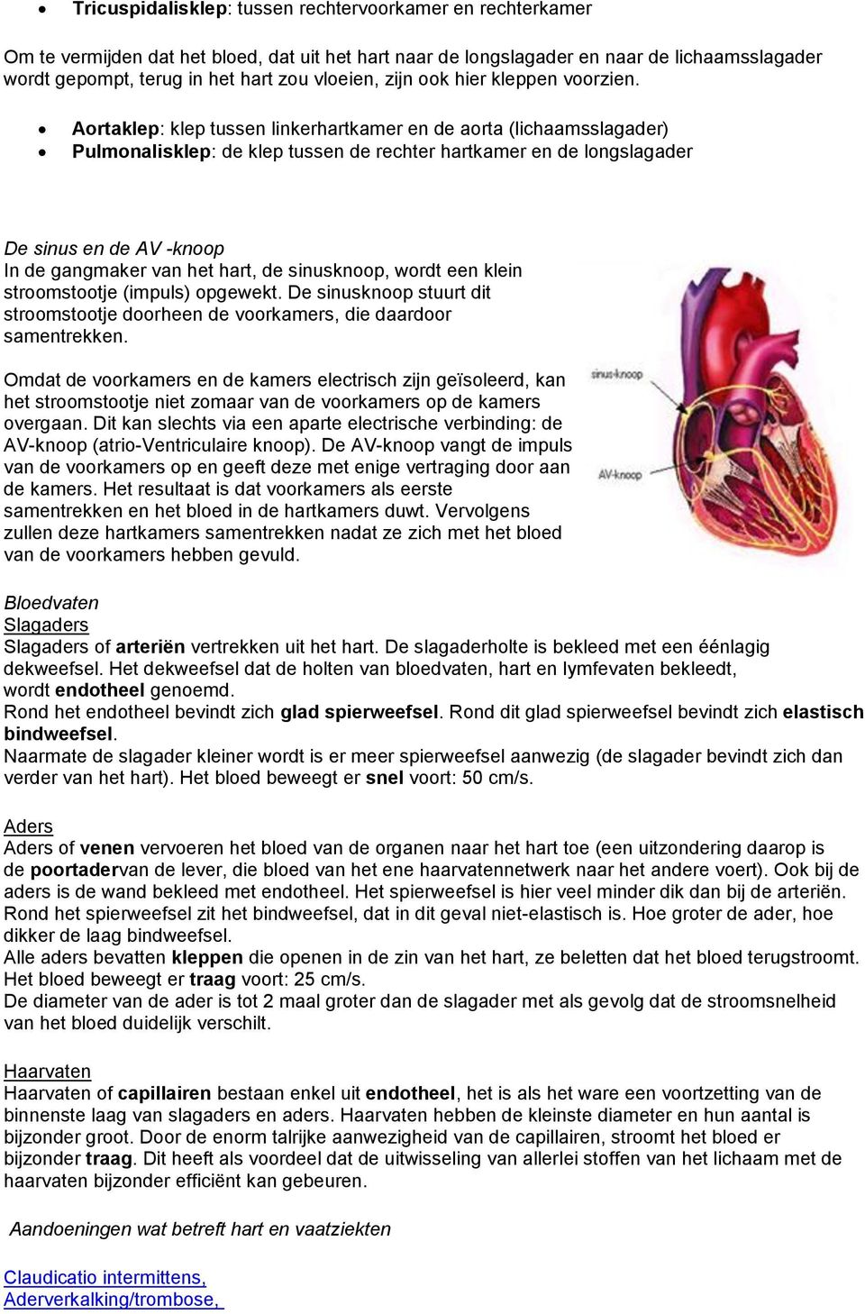 Aortaklep: klep tussen linkerhartkamer en de aorta (lichaamsslagader) Pulmonalisklep: de klep tussen de rechter hartkamer en de longslagader De sinus en de AV -knoop In de gangmaker van het hart, de