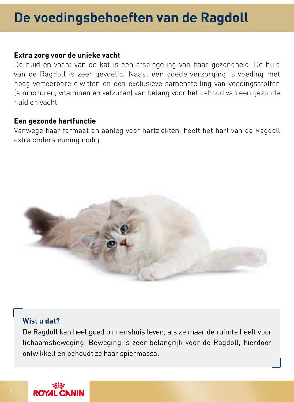 behoud van een gezonde huid en vacht. Een gezonde hartfunctie Vanwege haar formaat en aanleg voor hartziekten, heeft het hart van de Ragdoll extra ondersteuning nodig. Wist u dat?