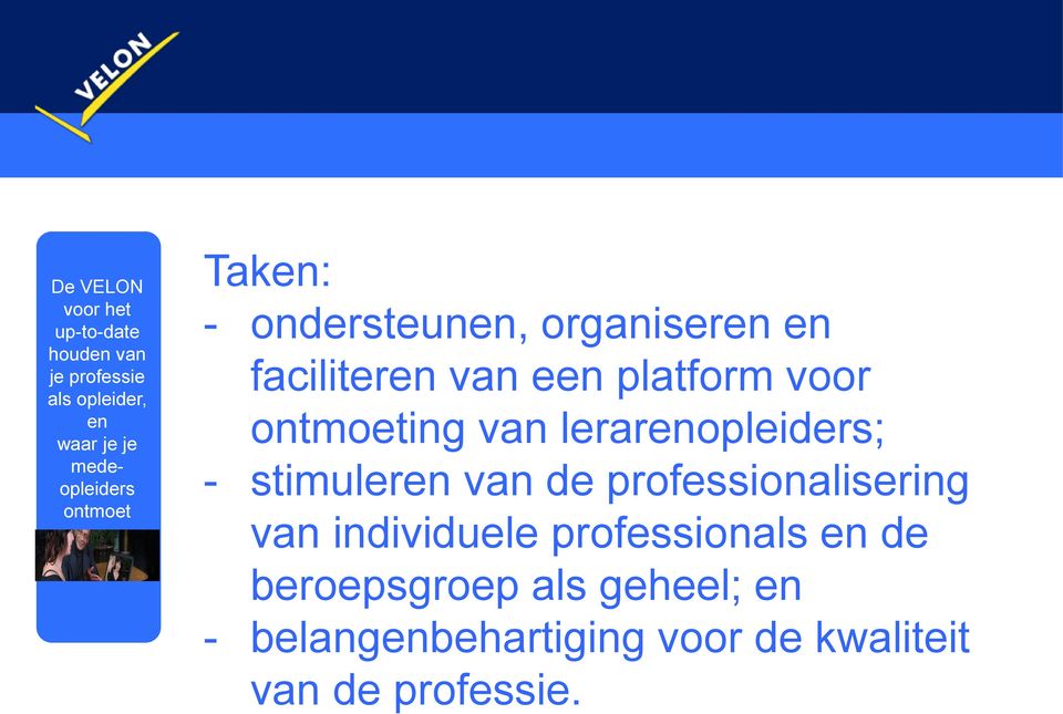 professionalisering van individuele professionals de