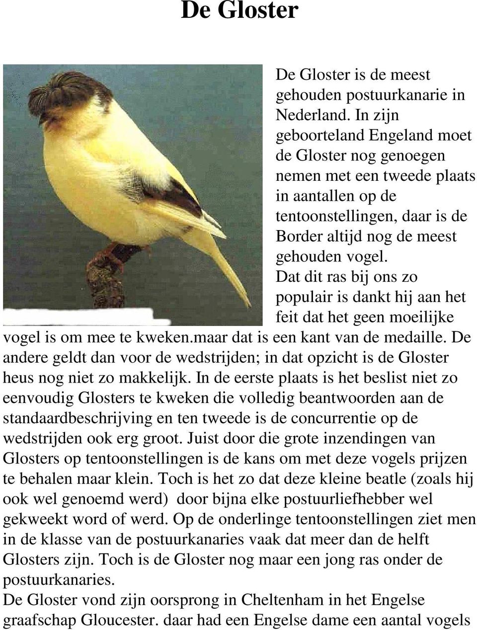 Dat dit ras bij ons zo populair is dankt hij aan het feit dat het geen moeilijke vogel is om mee te kweken.maar dat is een kant van de medaille.