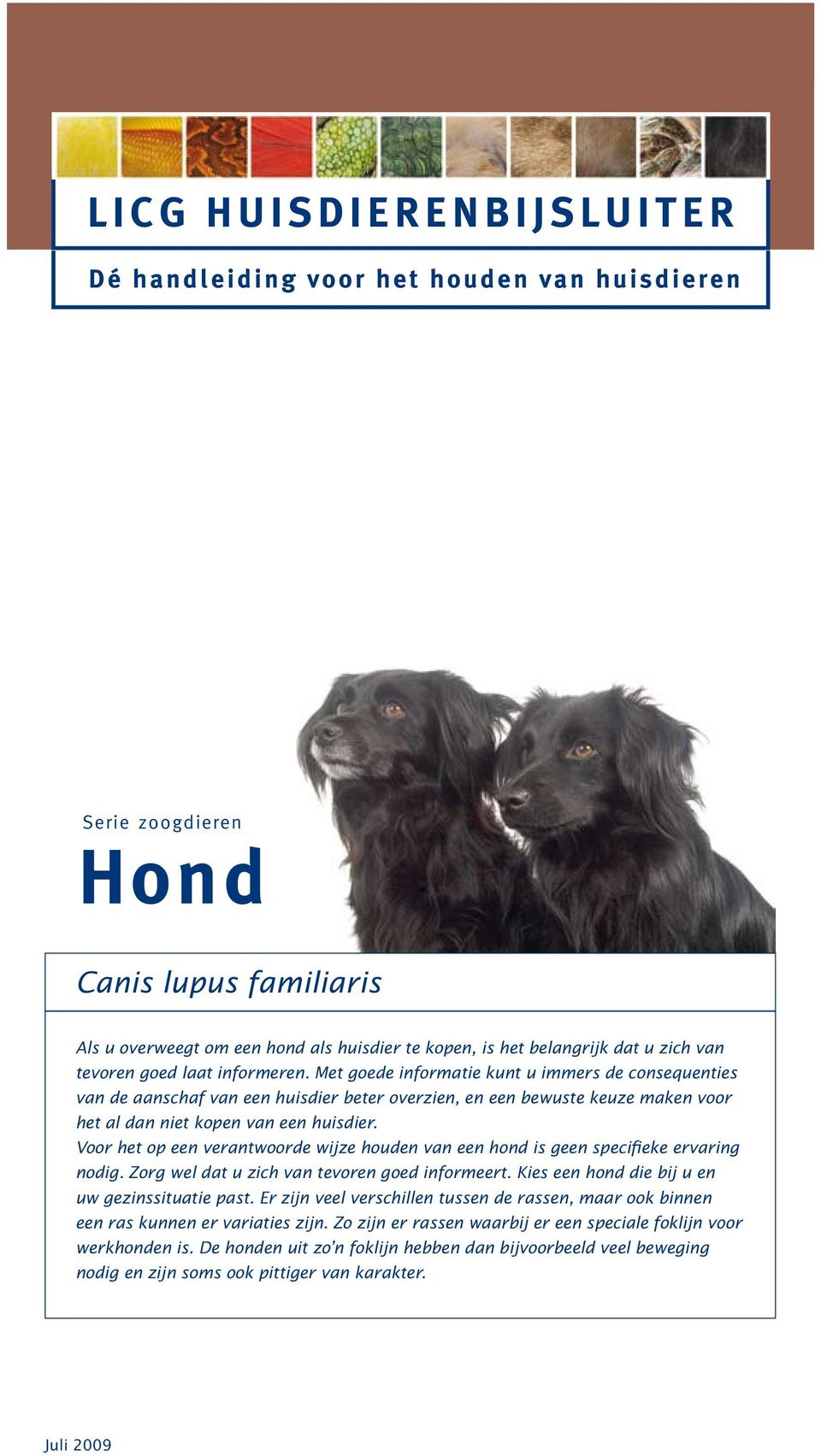 Voor het op een verantwoorde wijze houden van een hond is geen specifieke ervaring nodig. Zorg wel dat u zich van tevoren goed informeert. Kies een hond die bij u en uw gezinssituatie past.